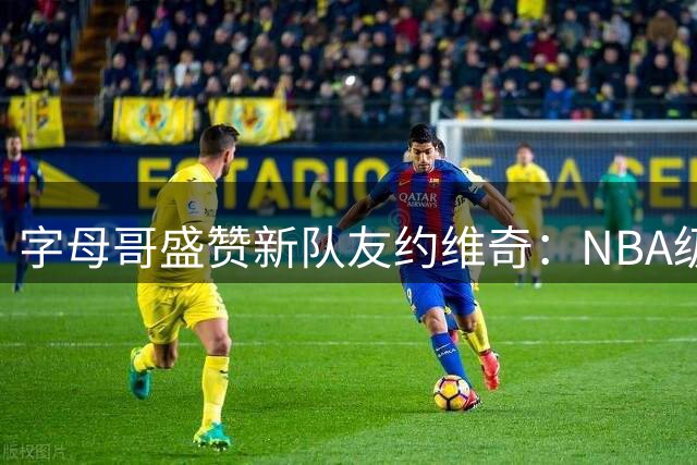 字母哥盛赞新队友约维奇：NBA级球风将获更大进攻空间